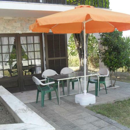 Apartamentos Na Casa Sao Bernardo Alcobaça Exterior foto